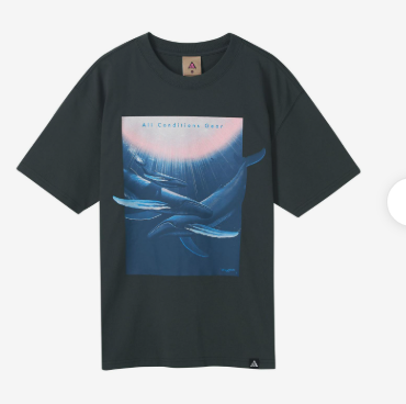 Nike ACG T-shirt "Wyland Fun"